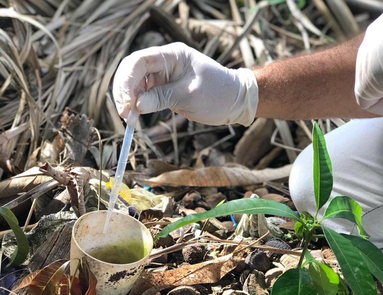 Dia “D” de combate ao Aedes aegypti é intensificado nesse mês de Março.